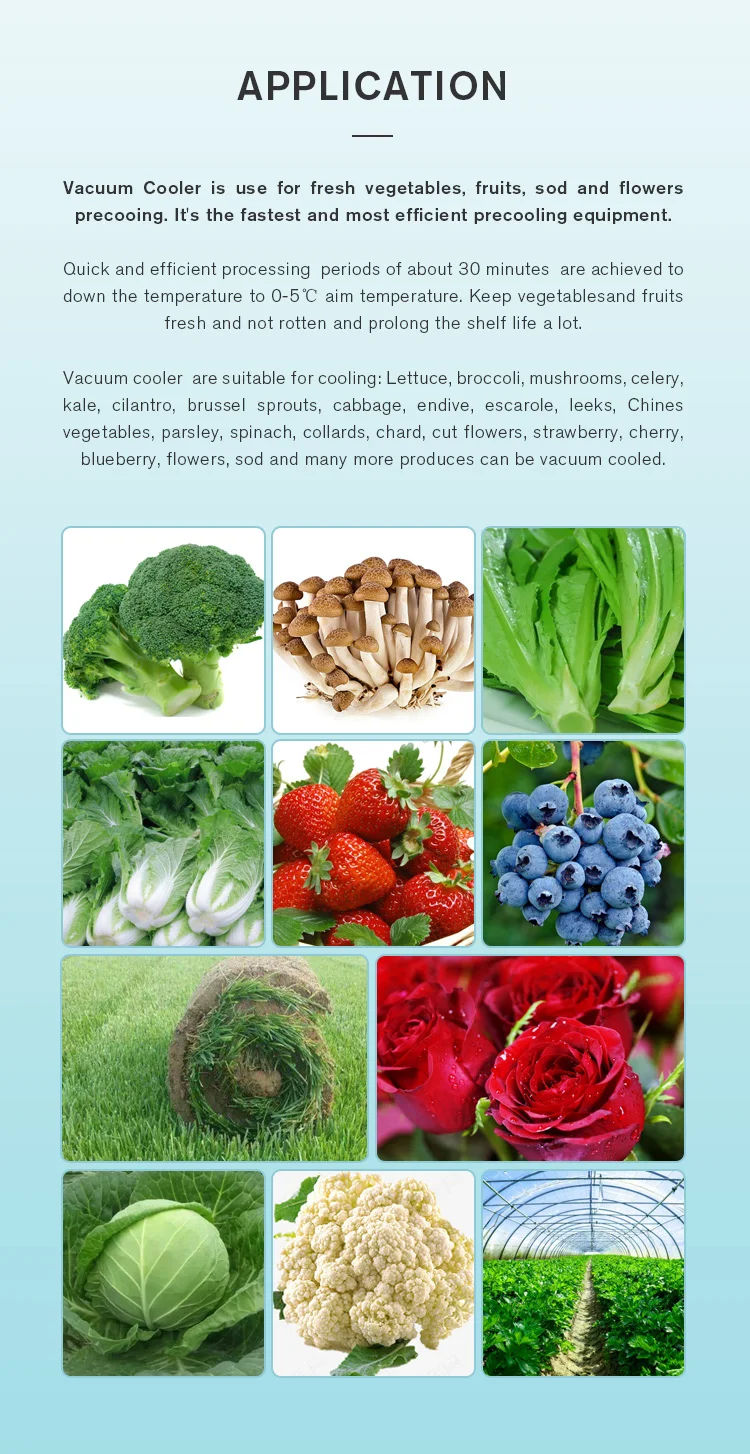 ICEUPS 6 pallet vacuum cooler  for fresh cut flowers and vegetables