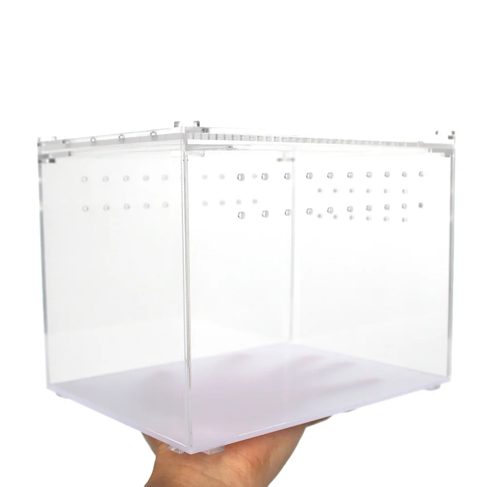 2021 New Arrivals Hot Sale Magnetic Clear Transparent Acrylic Reptile Breeding Box Cage for Gecko Spider Lizard Frog