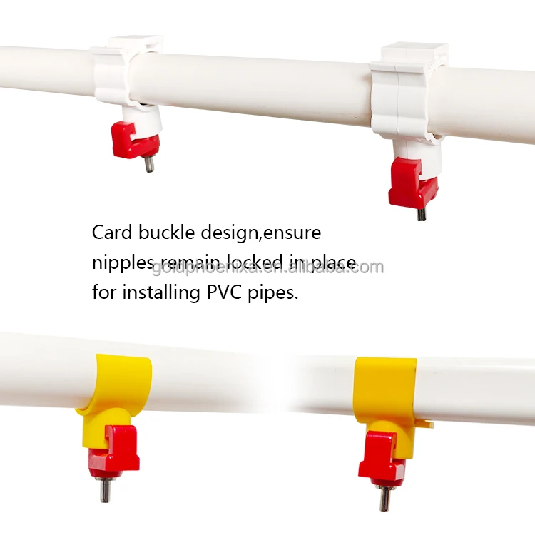 yyc Automatic Poultry Drinking System Broiler Chicken Water Feeder Nipple Drinker chicken poultry