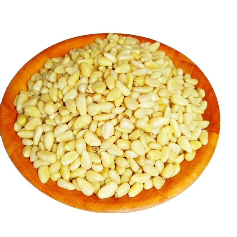 Raw and Wild Organic Nuts Pine Nuts Kernels Cedar Siberica