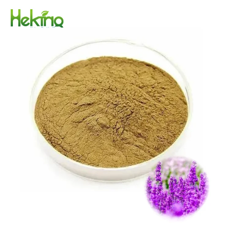 Supply Dried Lavender Flower Extract Lavender Powder Extract