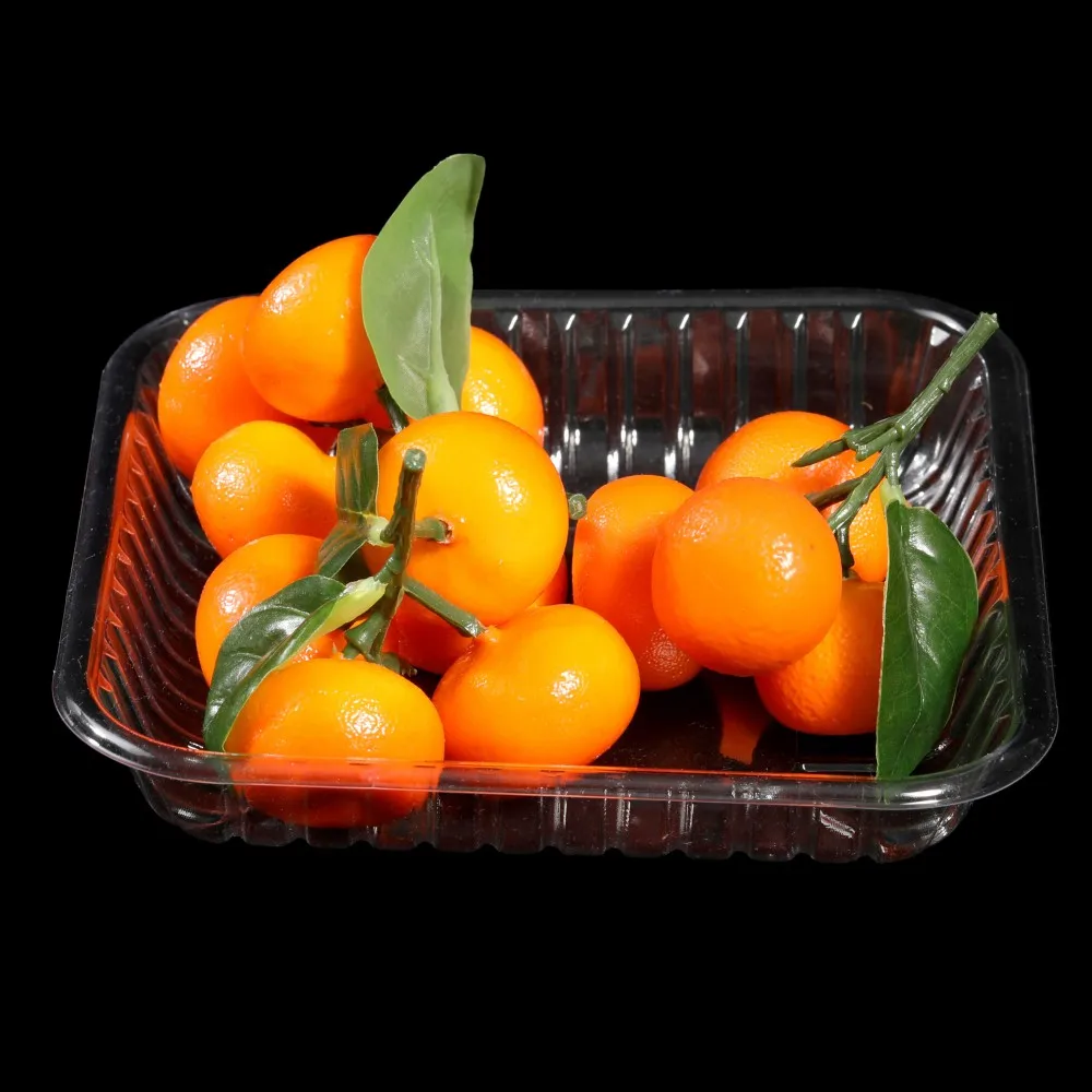 Wholesale Disposable PET Plastic Tray For Dry Fruit and Vegetable Transparent Square Plastic Containers Food Tray
