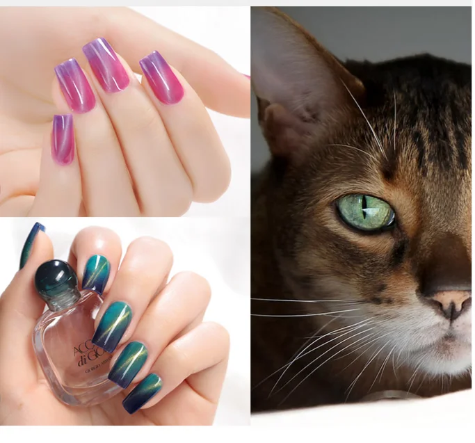 
Led Glitter Nude 5d Cat Eye Gel Black Hole Pretty Chameleon Cat Eye Gel 
