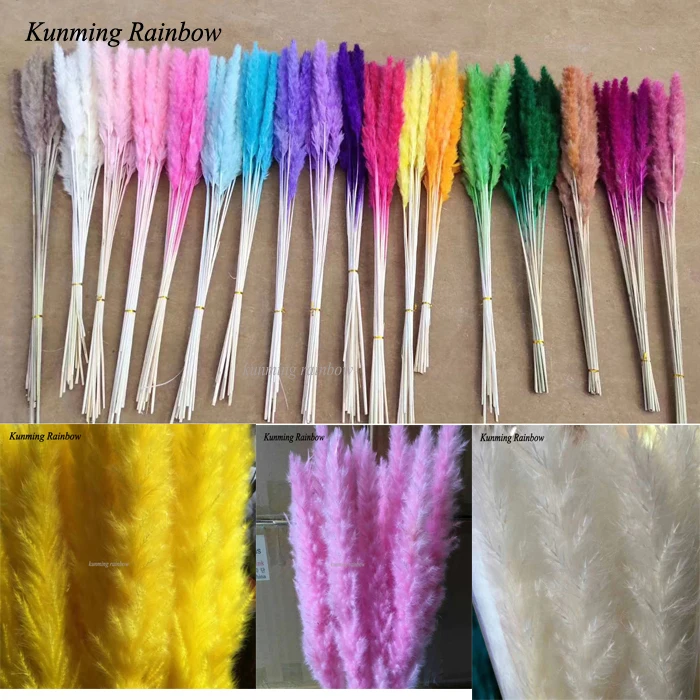 Wholesale Dry Flowers Wedding Dried Decorative Flower Best Natural Real Dried Pampas Grass for art  table flowers