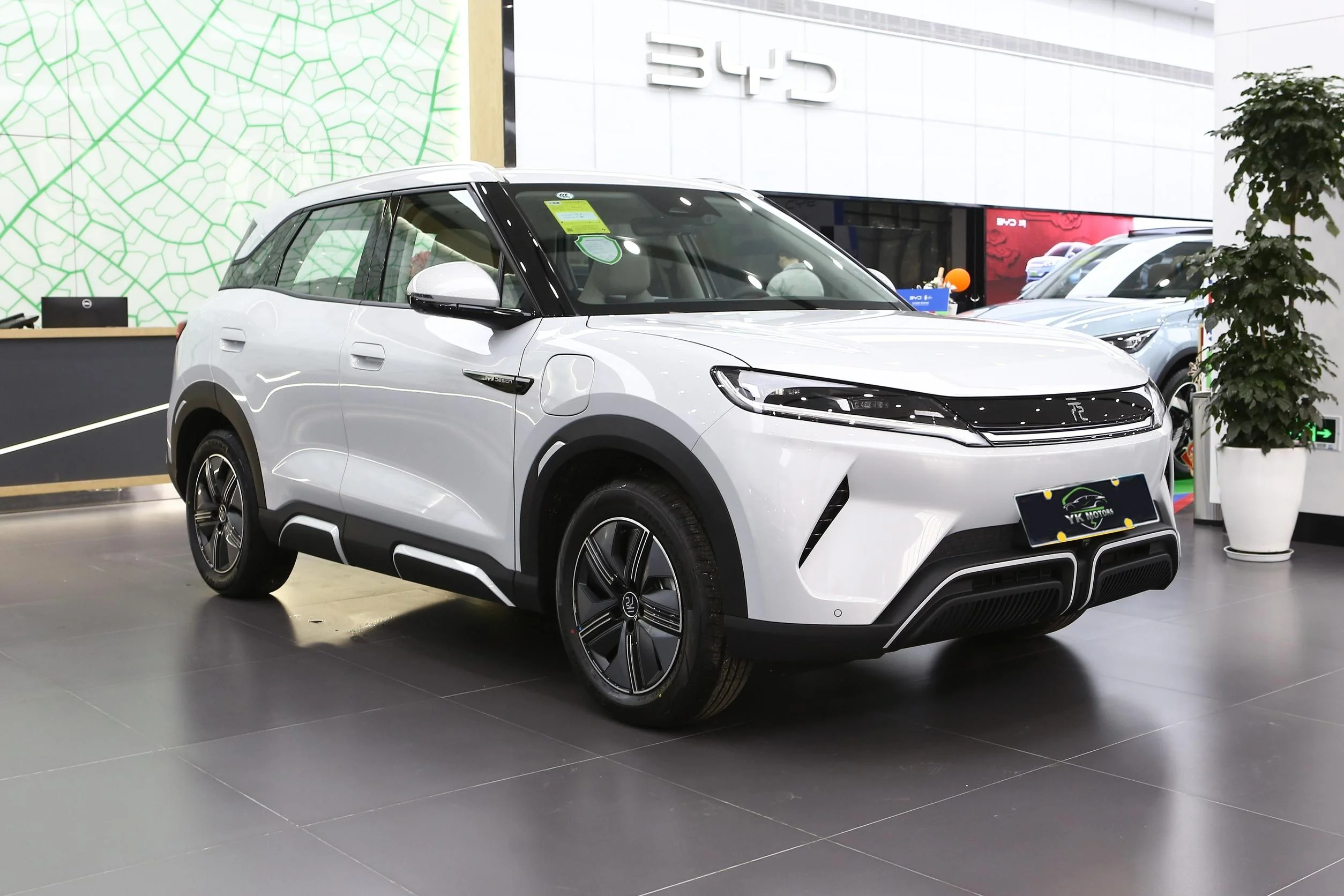 YK MOTORS 2024 электромобиля на 401 км выше низкой цены 2WD 130(177Ps)