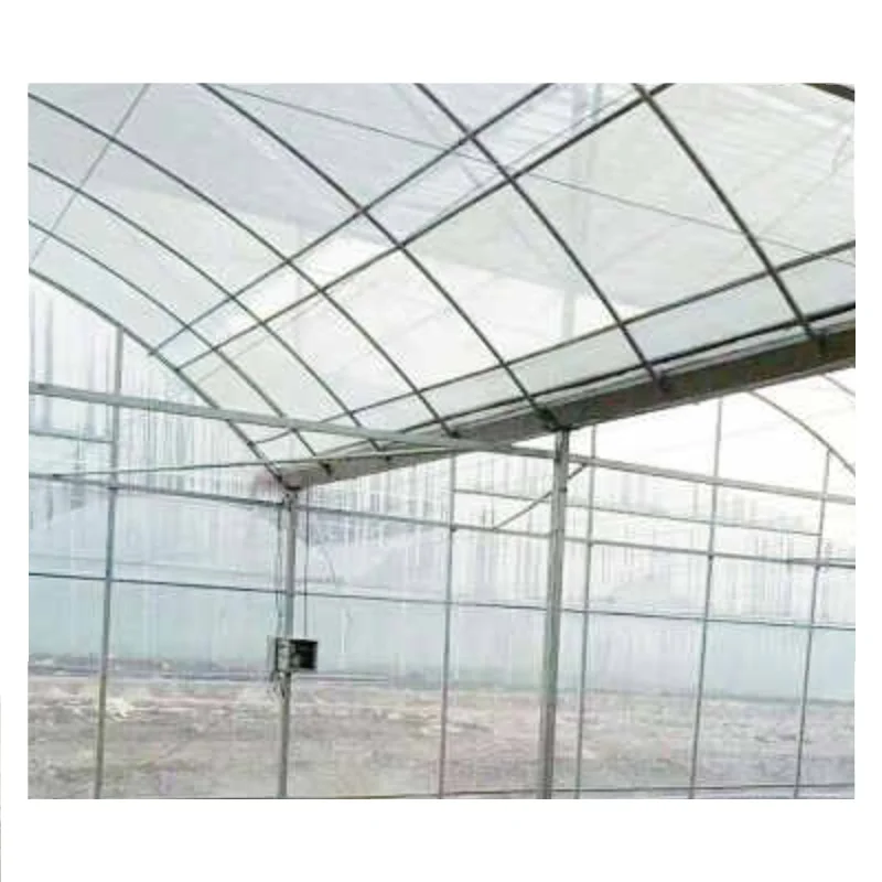Single Span Tunnel Type Film Blackout Light Deprivation Greenhouse for Mushroom and Medical Plants with LED Grow Lights