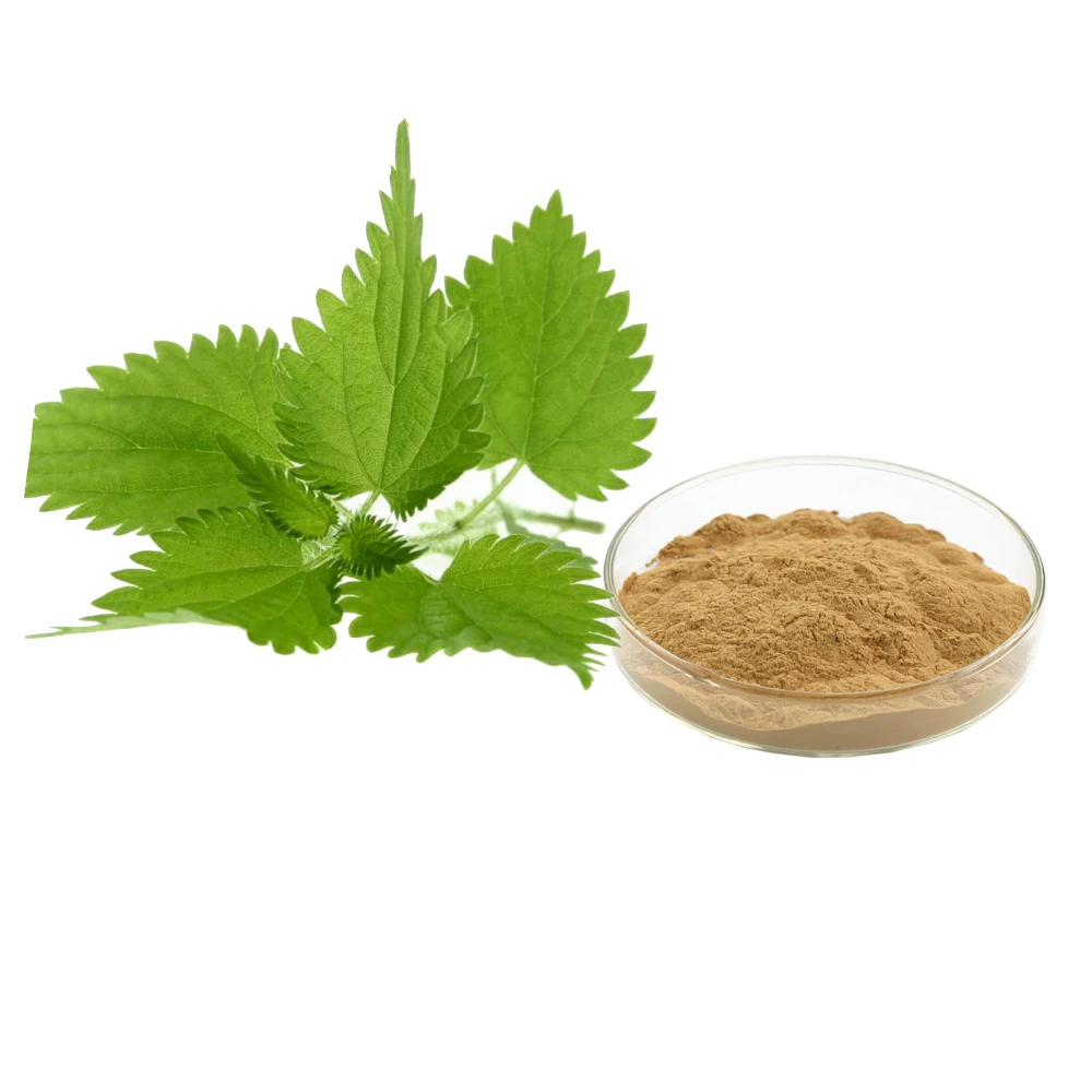 Экстракт корня крапивы порошок Urtica cannabina P. E 10%