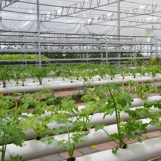 Aquaponic Farm вертикальные системы гидропоники теплица для теплиц с гидропонной системой