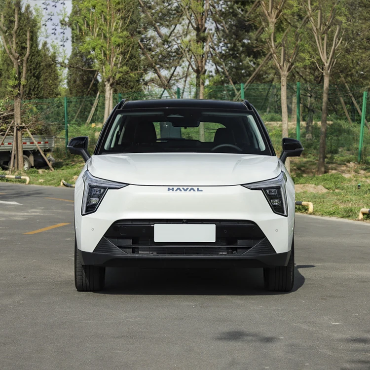 Великая стена новые внедорожники большие собачьи Xiaolong M 6 H 9 5 Dargo Gt 4*4 Phev гибридный Электрический H6 в наличии