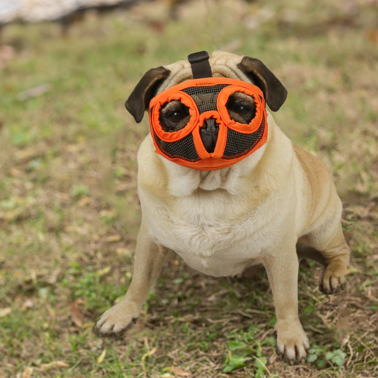 Breathable Dog Muzzle for Biting Chewing Barking Adjustable Short Snout Dog Muzzle