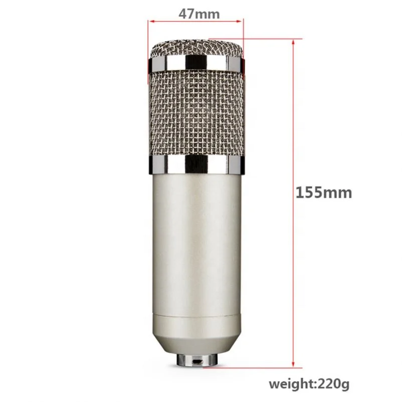 Low Price Broadcasting Microphone For Studio Recording With Stand Kit