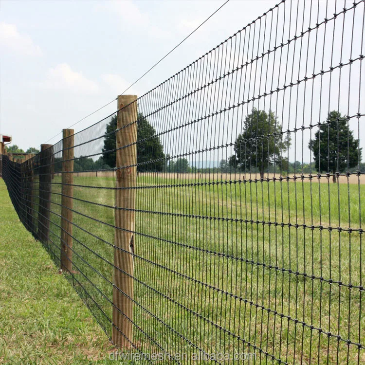 American Farm 6 Ft T Fence Post Barbed Wire Galvanized