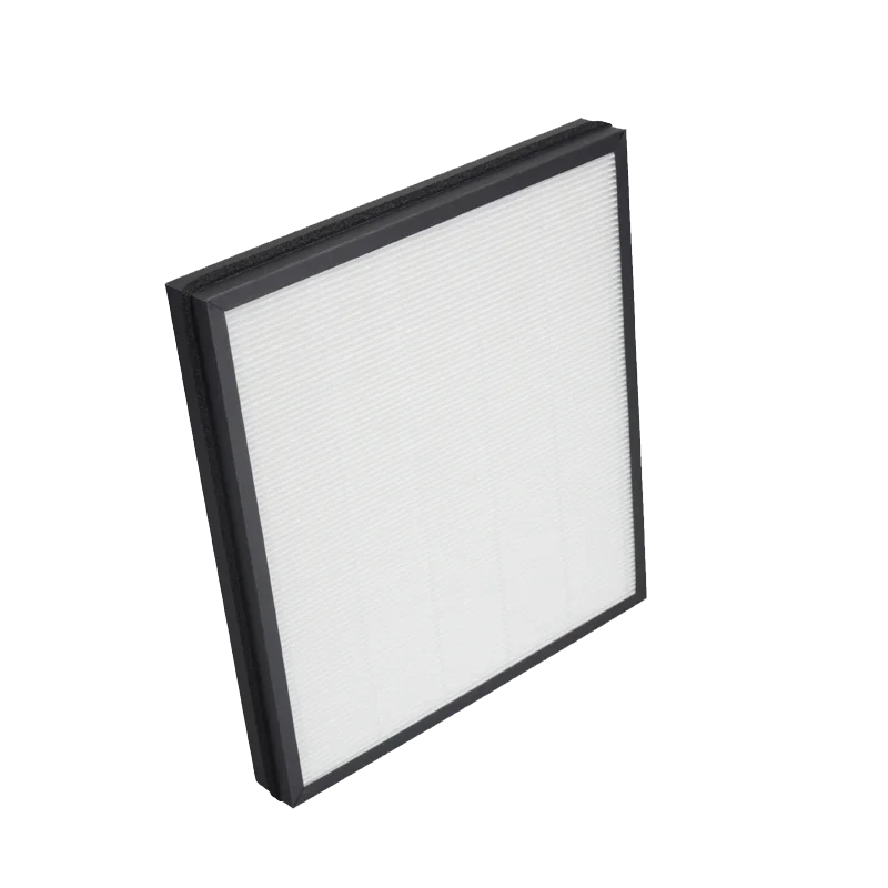 Lansir H12 Particle HEPA and Activated Carbon Filter Replacement For Delonghi AC100 AC150 Air Purifier Filter