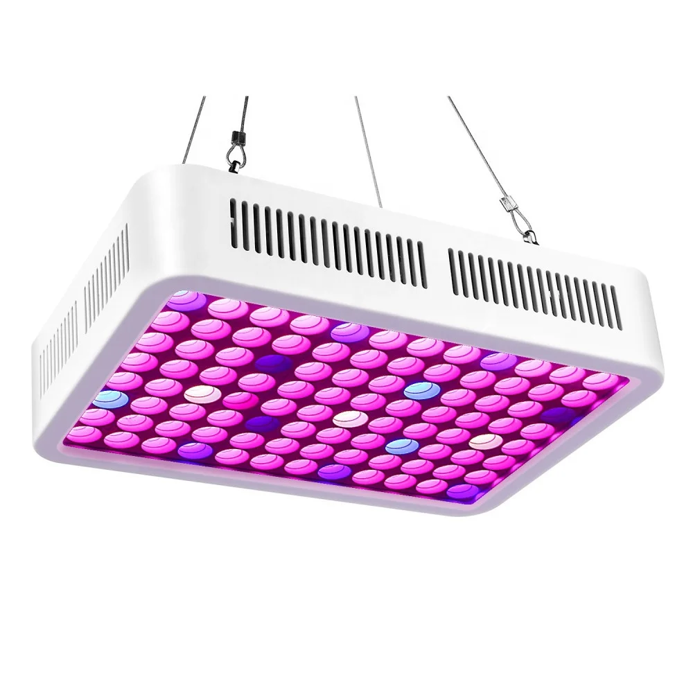 Cost-down Double LED Chips 300w Full Spectrum plus UV Growing Lettuce  LED Grow Lights