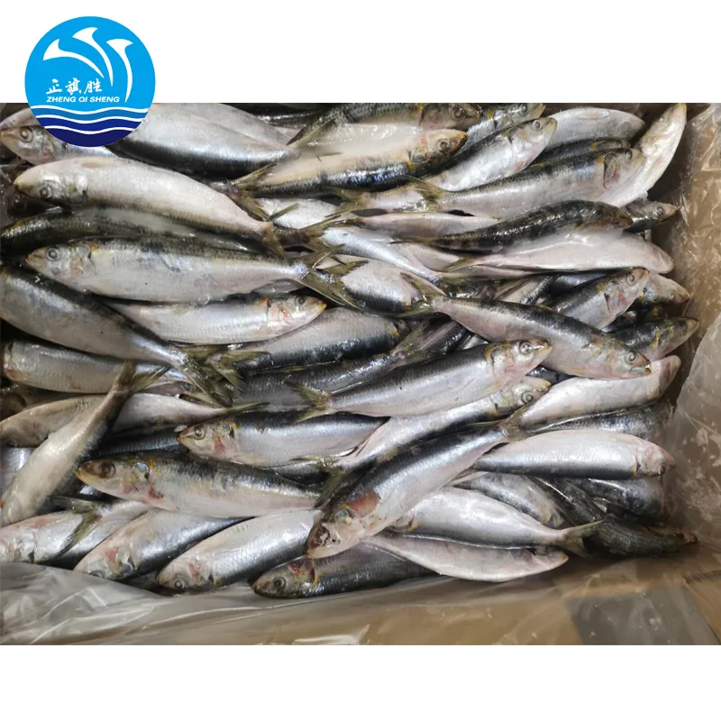manufactory sea frozen wholesale sardine fish