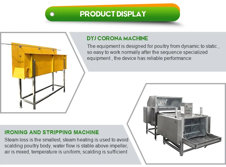 Best price stainless steel complete 1000 bph poultry slaughtering equipment