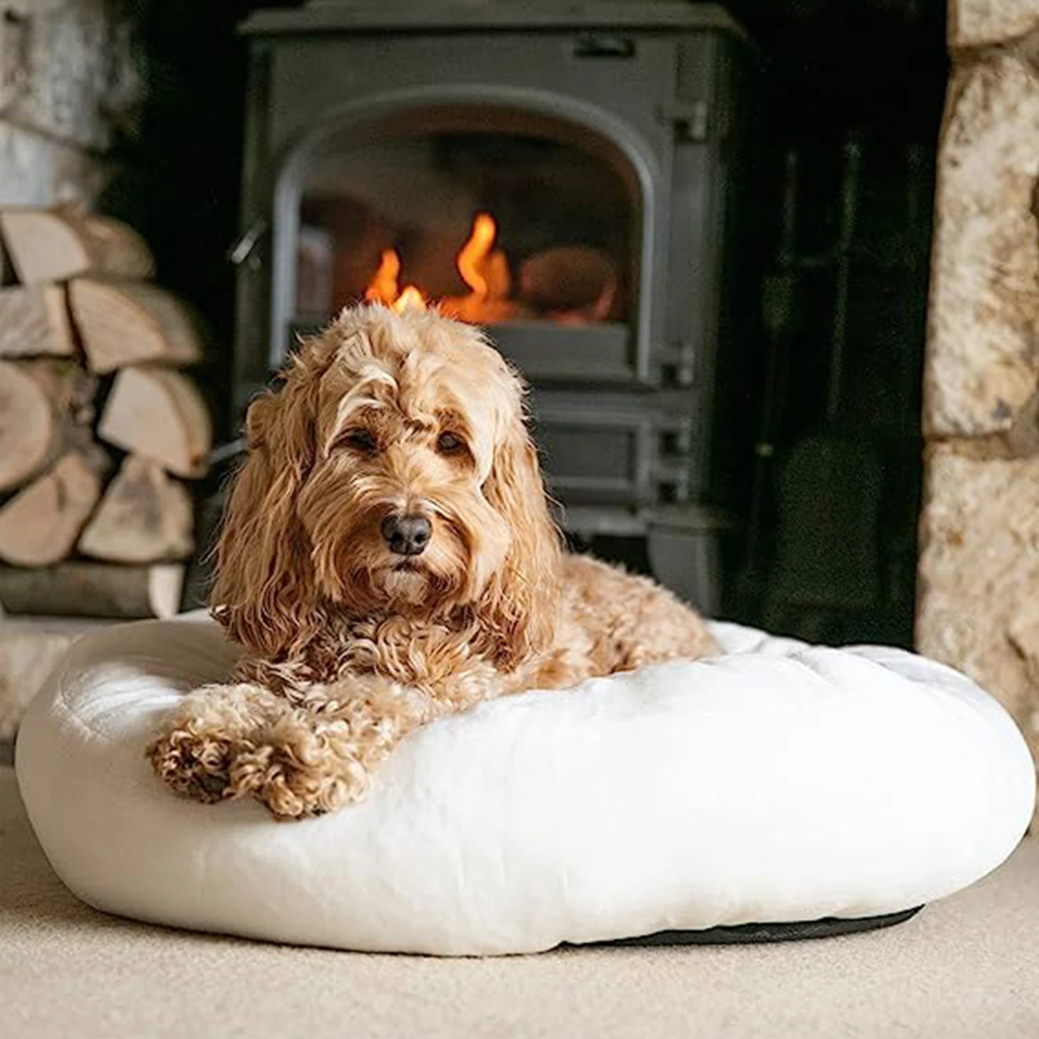 FMT 2023 New LuxuryHigh Quality Dog Sofa Bed with Dog Bed Luxury Cover Dog Cushion Pet Bed