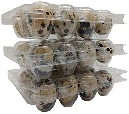 Custom Packs Clear Box Quail Egg Blister Plastic Cartons
