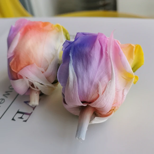 Dubai fresh cut flower bouquet Beautiful Rainbow Preserved Flower stabilized rose wholesale