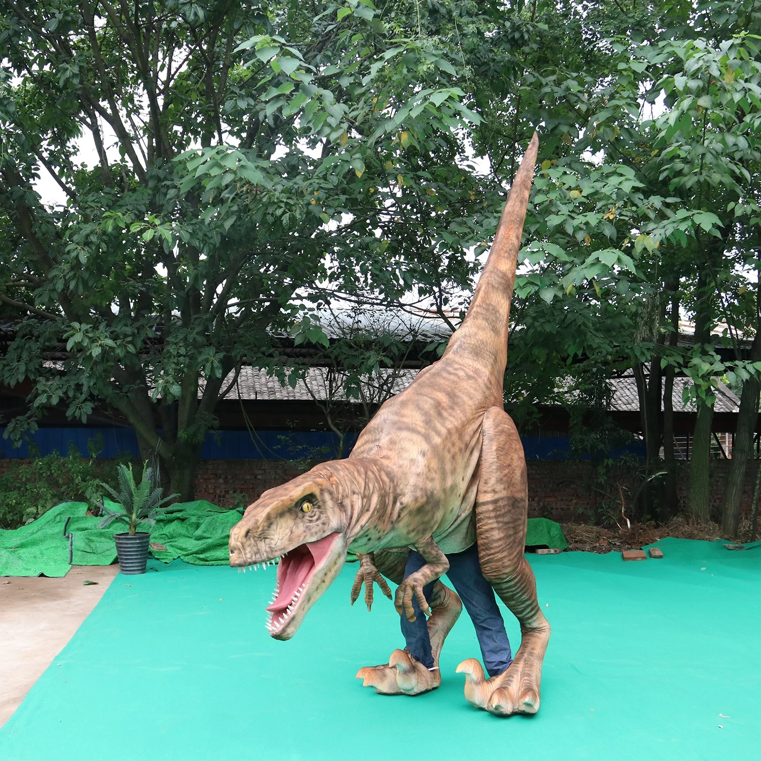 activity show handmade adult raptor dinosaur costume