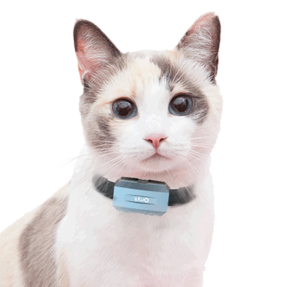 Factory Direct 4g Gps Tracker Collar Pets Tracker for dog