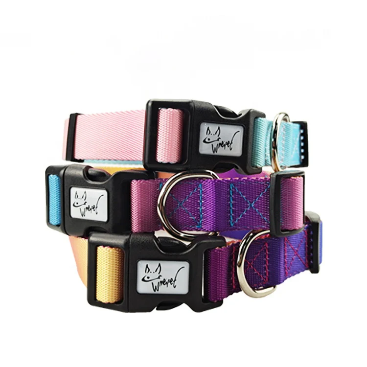 colorful dog collar accept custom logo wholesale pet collar