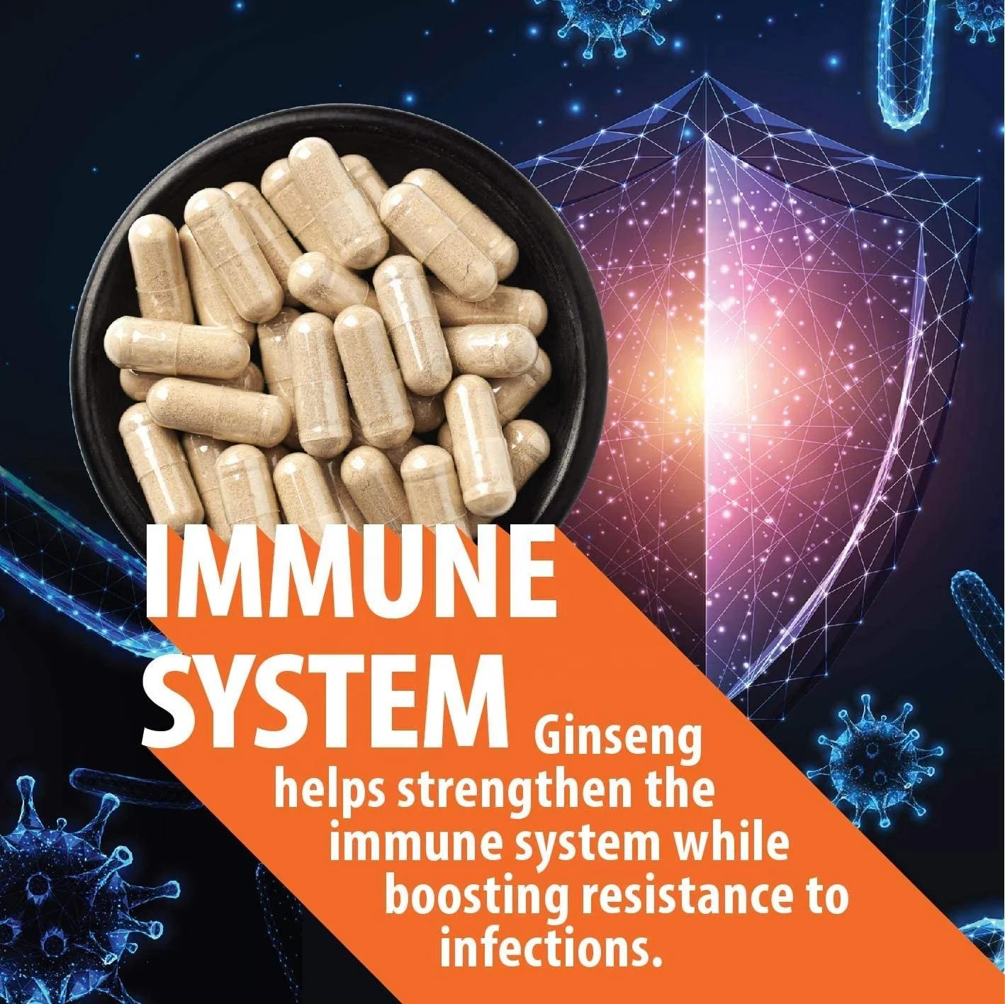 Private label High Quantity Authentic Chinese red panax ginseng Root extract Capsule Energy and Focus Pills for Men and Women