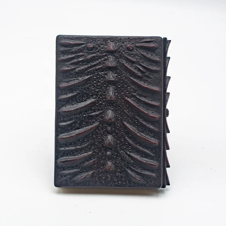 Hardcover luxury retro 3D stereoscopic Diary Notebook home decor Office decor deluxe resin embossment dragon eye fake magic book