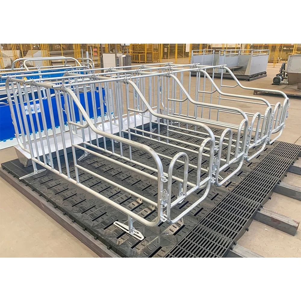 Factory direct sale galvanized cages for pigs in gestation pig farming equipment pig gestation crate