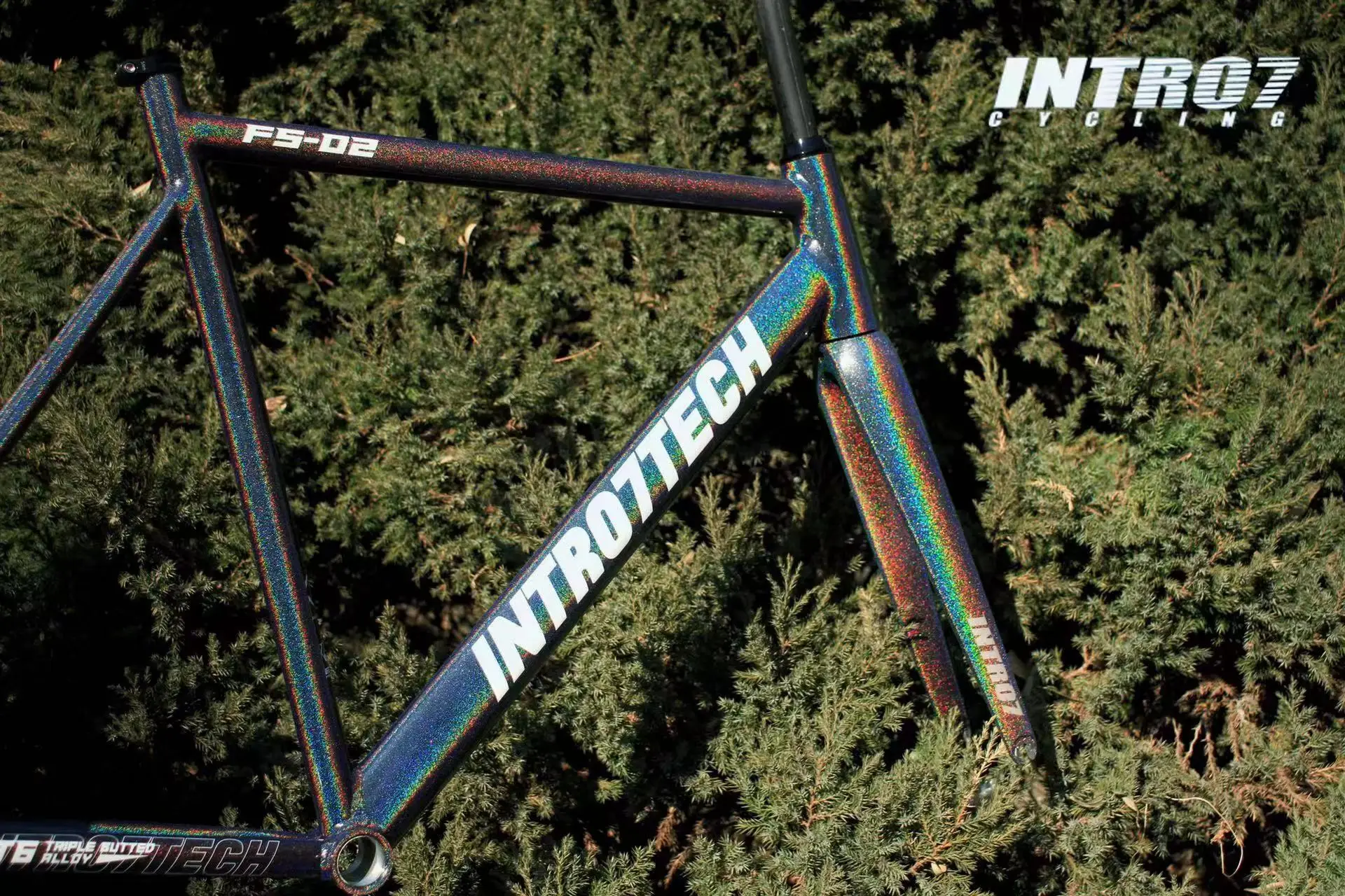 PB001 INTRO7 beautiful fixed gear bikes nice model color 700C fixie bicycle made in china best sell fixie roadbike