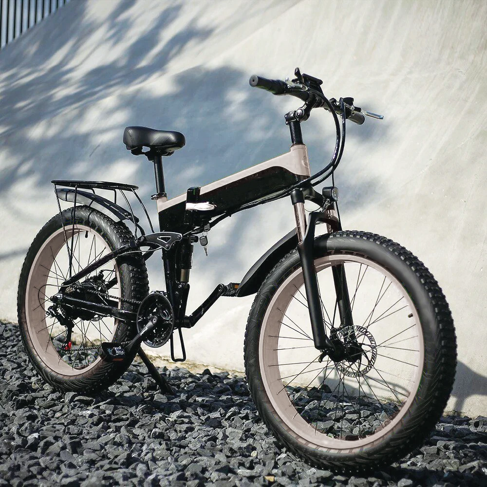 Customized Silver Fish 36v 48v 20ah Battery Electric Bike 500w 1000w For Electric Bike