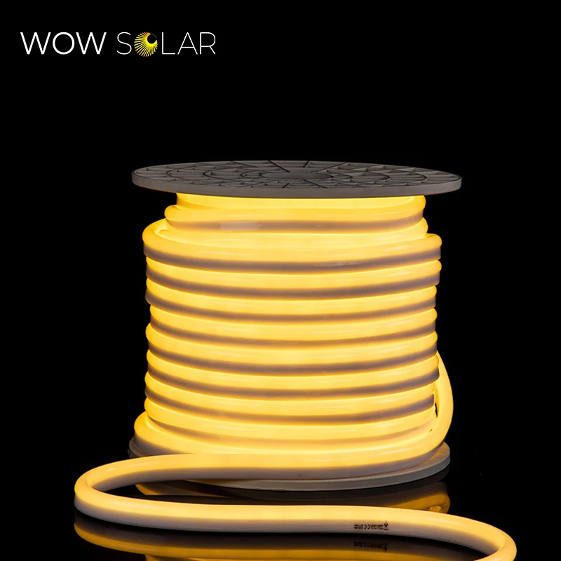 
2021 New Custom Neon Light Design Rainbow Led Neon Light For Desk And Wall Decoration 