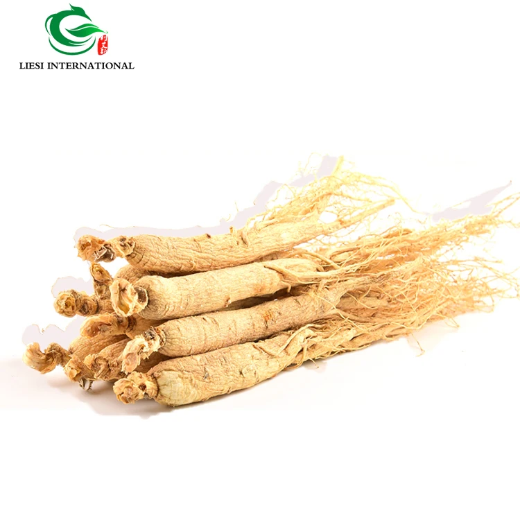 Wholesale Supply Herbs  High Quality Wild Ginseng Root Whole Root