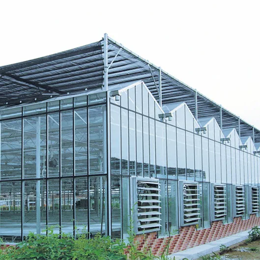 multi span agricultural glass greenhouses for vegetable growing