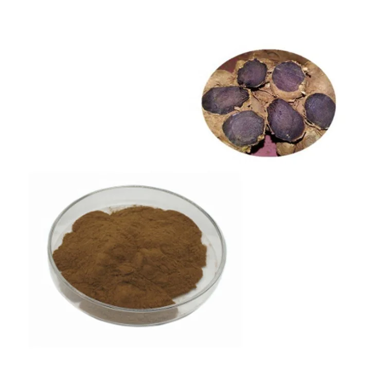 10:1 20:1 Pure Kaempferia Parviflora Extract Powder for Men