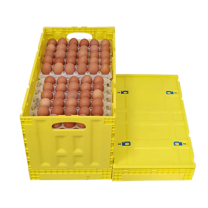 360 Eggs Box Foldable Transport Prevent Egg Liquid From Dripping Box with Lid Logistics Moving Shipping Crate Lockable Plastic