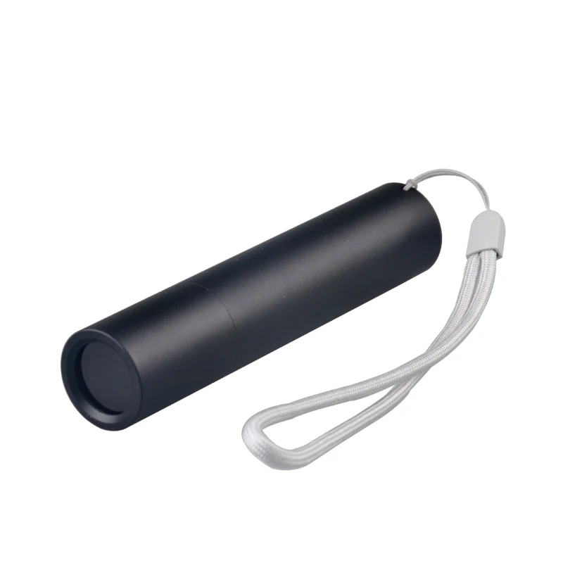 UV Filter 365nm USB Recharbeable Aluminum Flashlight UV Light Antigen Rapid Test