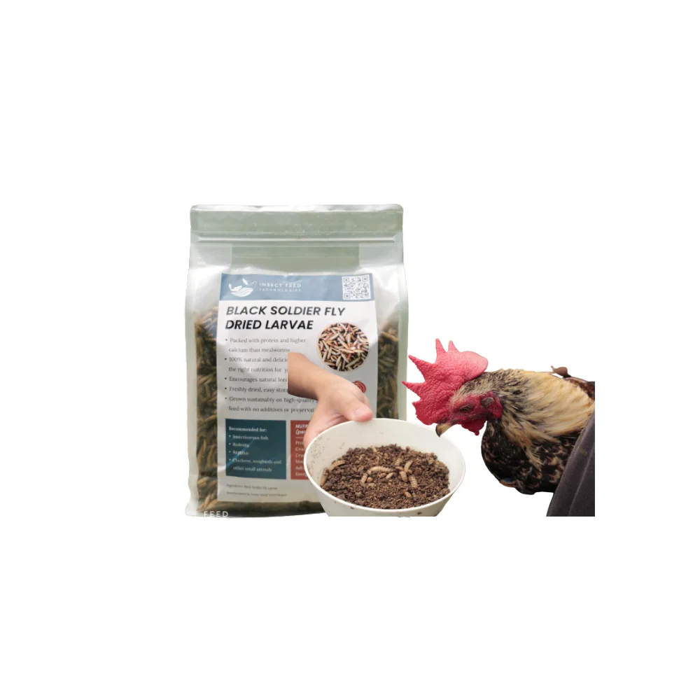Hot Selling Wholesale Bulk Pack Export High Protein Black Soldier Fly Dried Larvae Animal Fish Pet Chicken Top Feed Grade