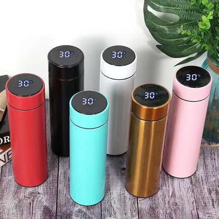 LED Water Drinking Bottle with Temperature Display Lid Stainless Steel
