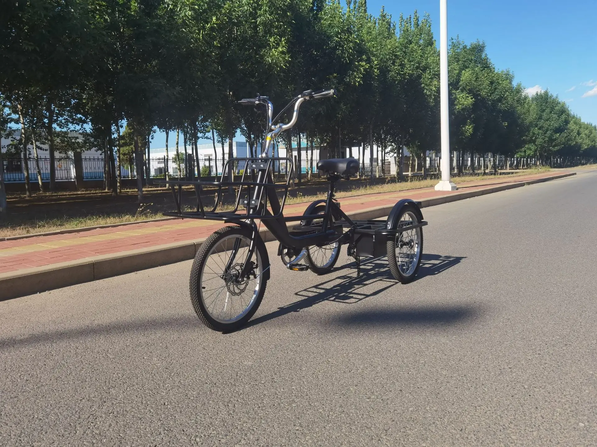 Electric Trike 48V 250W/500W Electric Tricycle 3wheel Cargo Bike With Rear Suspension For Adult