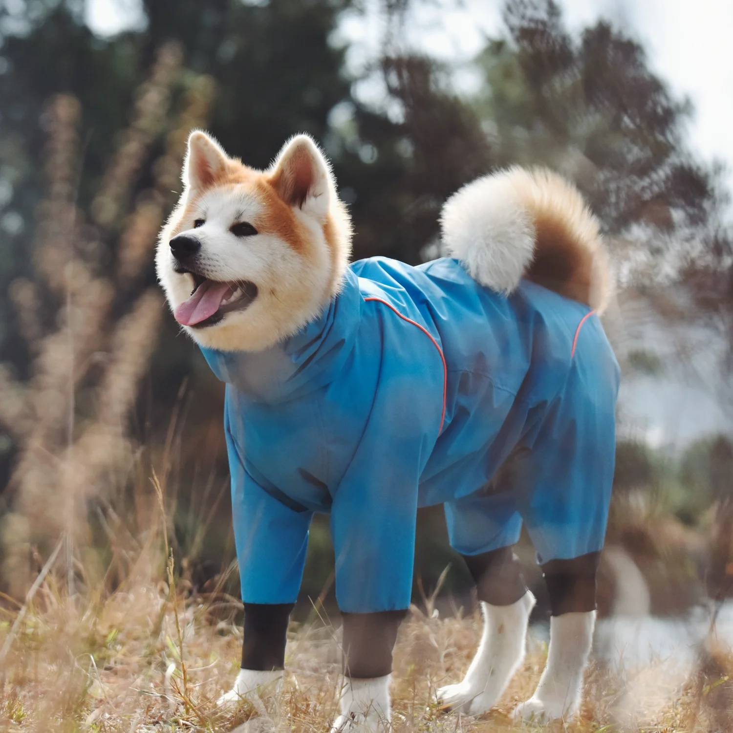 OEM Waterproof Pet Apparel Dog Rain Coat Overall Waterproof Jacket
