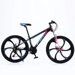 21/24/27/30 Speed sepeda gunung Aluminum Alloy suspension fork basikal 26 inch bicycle mountain bike