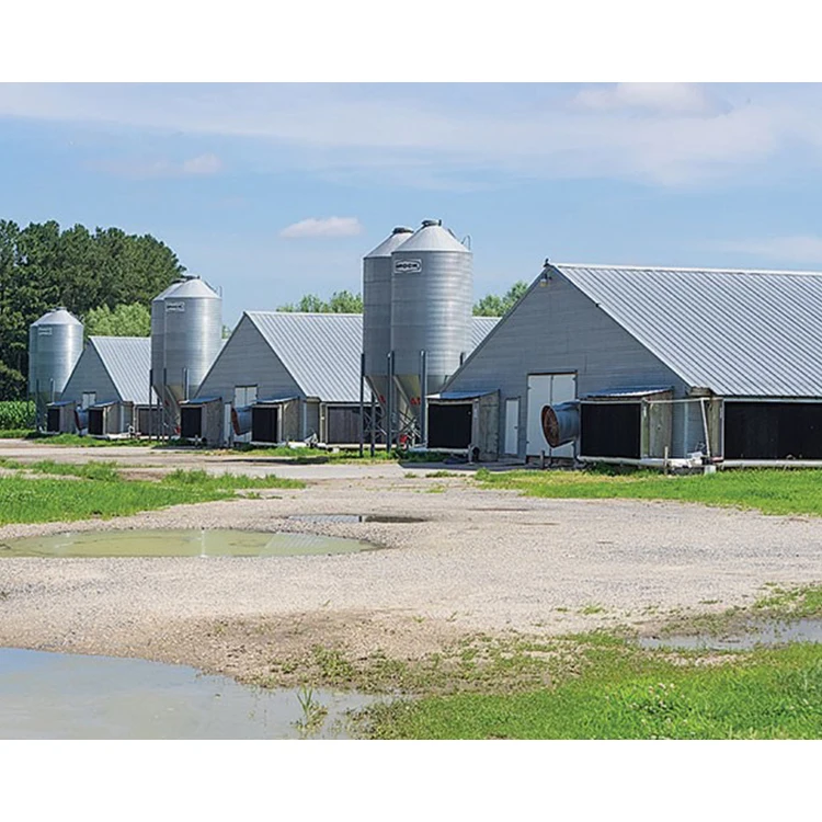 China supplier design steel structure broiler poultry farm shed building layer commercial chicken houses for sale in kenya
