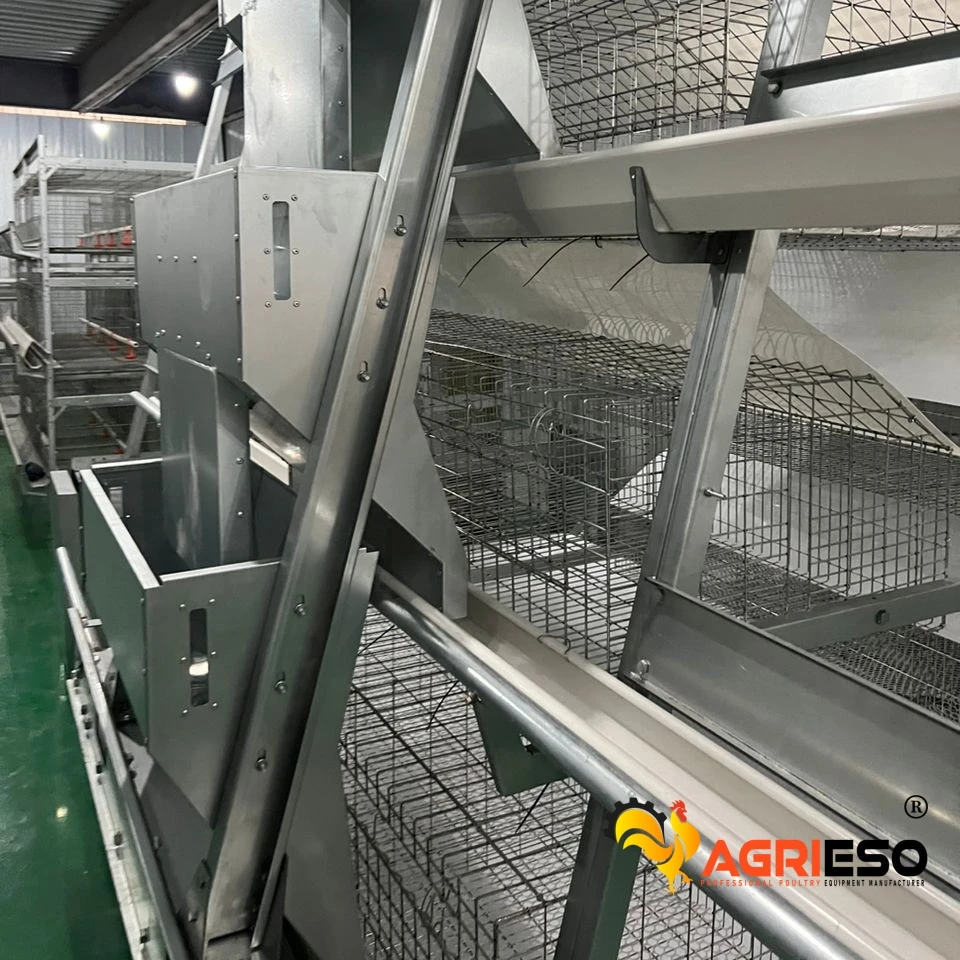 Agrieso Automatic Battery H Type 4 Tiers Bird-Harvesting Broiler Raising Cage for Chicken Poultry Farm/Farming Equipment