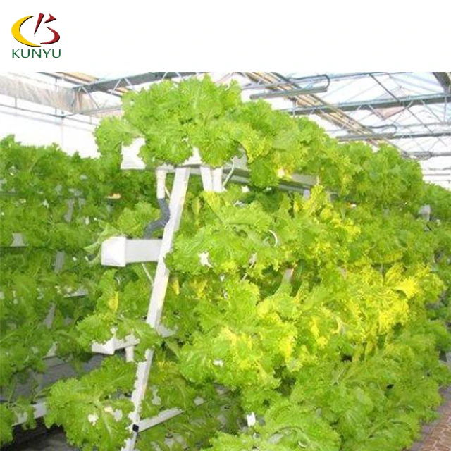 High quality Vertical Farm 100*50mm Pvc Nft hydroponic system for greenhouse seeding cultivation with pump