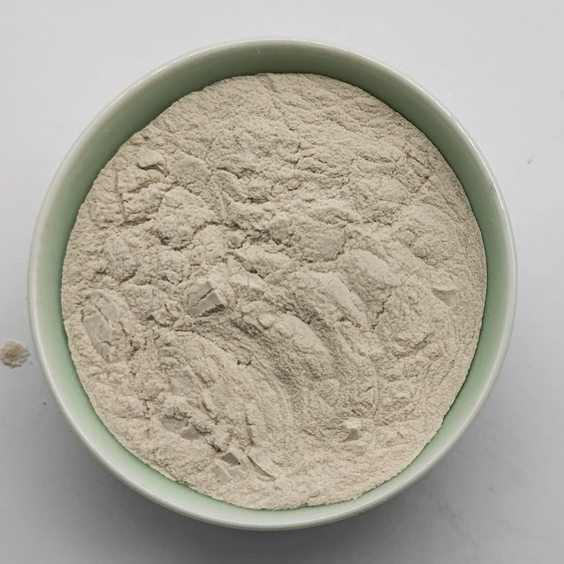 Hot Sale China Diatomite Powder Diatomaceous Earth For Rubber Industry