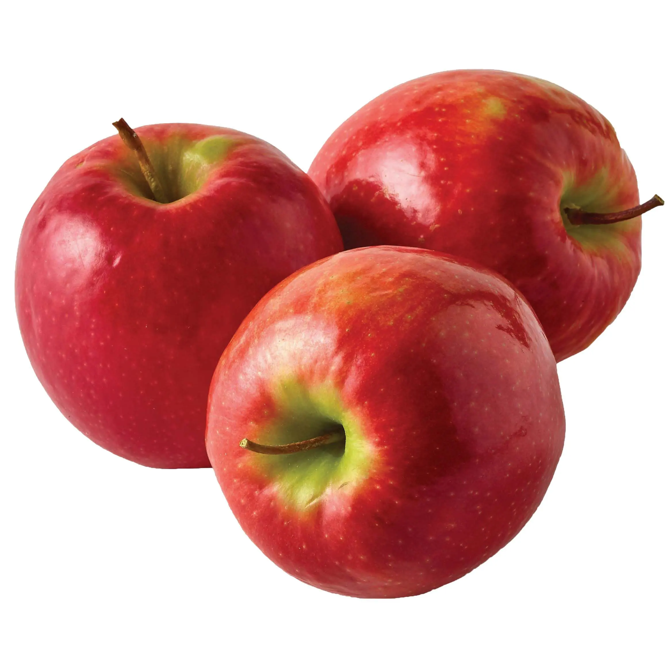 Chinese sweet fresh red star apples for export