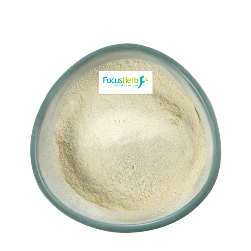 
FocusHerb Organic Mogroside V 50% Momordica Grosvenori Extract monk fruit extract mogroside 