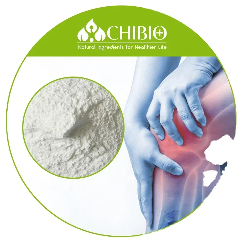 
100% Manufacturer Purity 90% Chondroitin Sulphate Sulfate Powder for Osteoarthritis Joint Health 