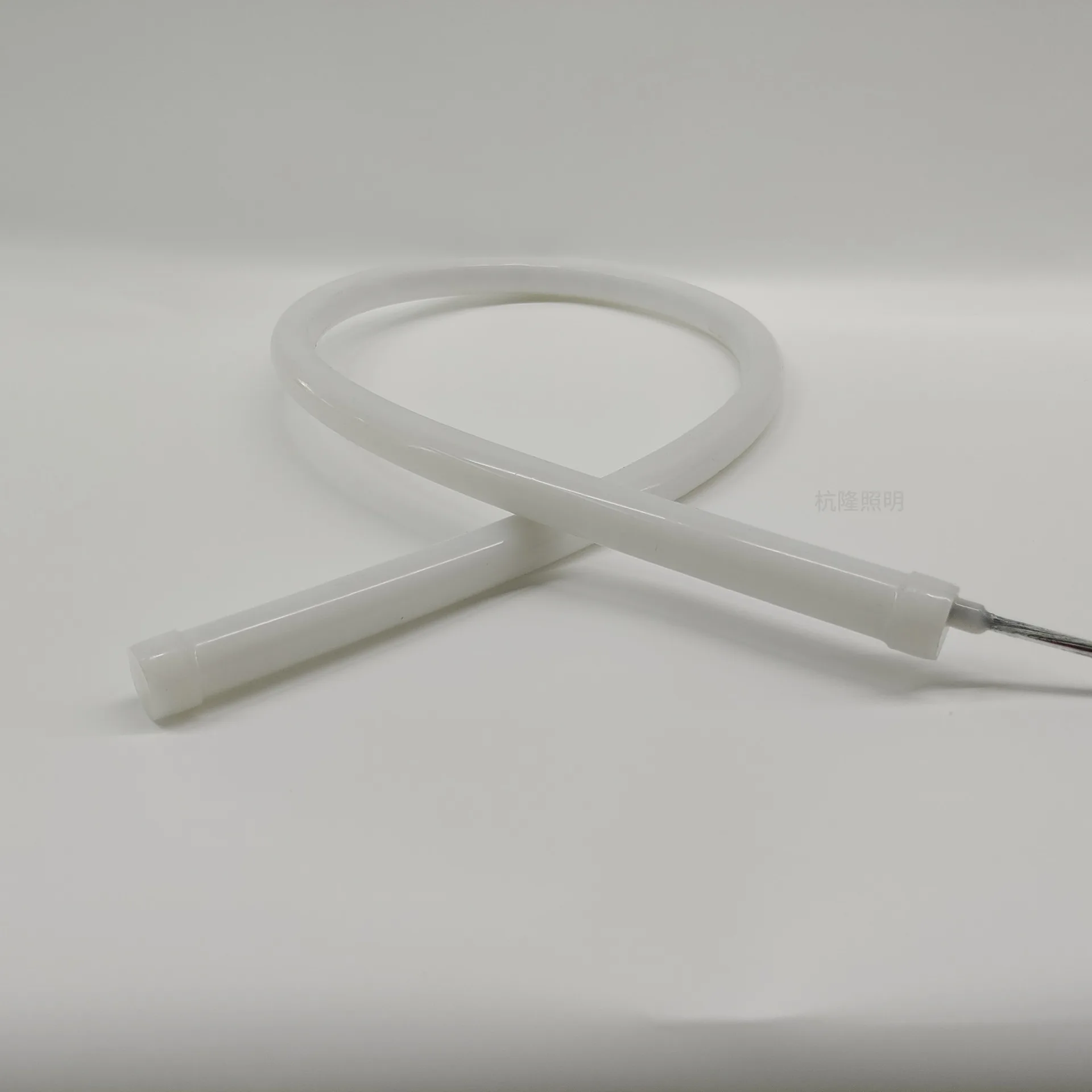 Super Bright Factory price Round 12V 24V 270° luminescence LED Neon Flex RGB Stage Neon Lights